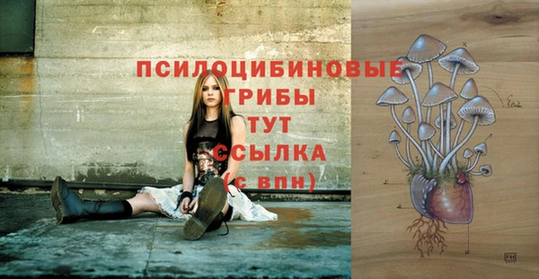 мдма Володарск