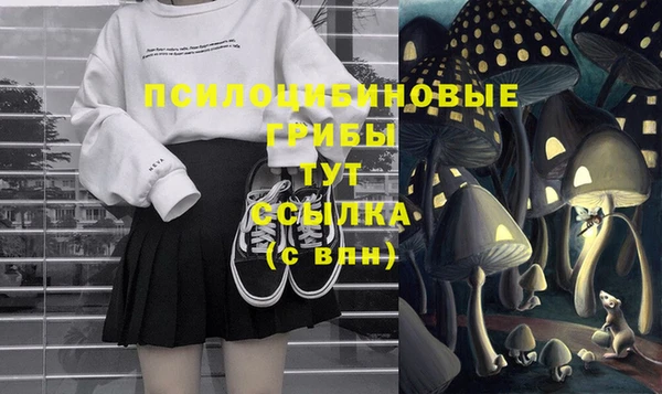 МДПВ Волоколамск